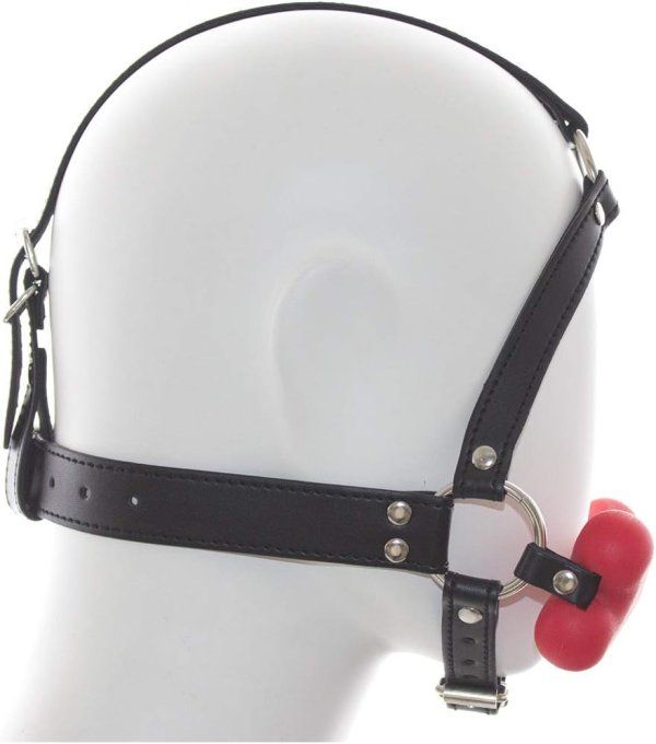 Harnais bâillon avec os en silicone - S&N