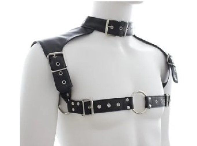 Harnais de poitrine réglable avec collier homme - S&N