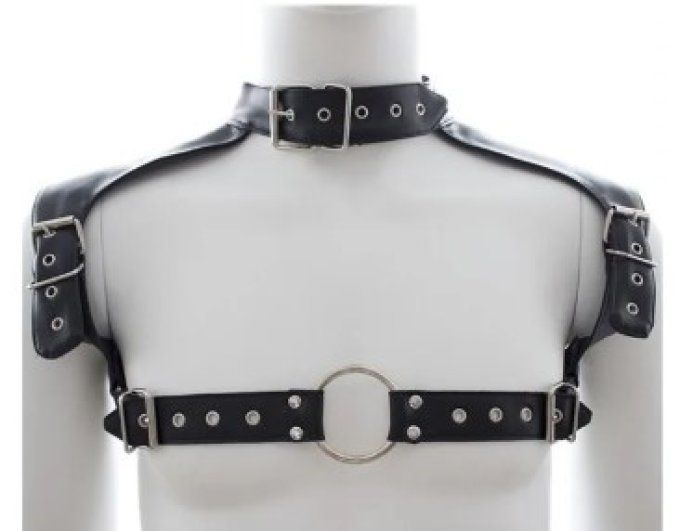 Harnais de poitrine réglable avec collier homme - S&N