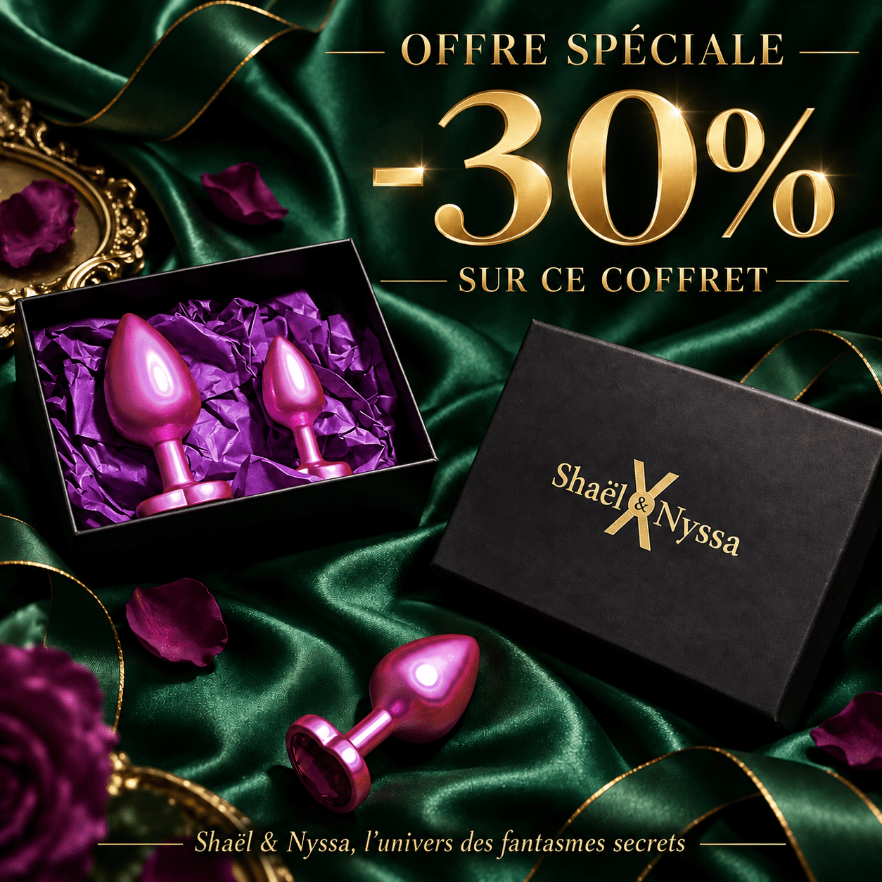 Coffret prestige plugs anal Aurora métal