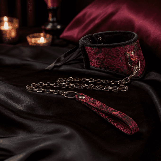 Collier prestige rouge avec laisse