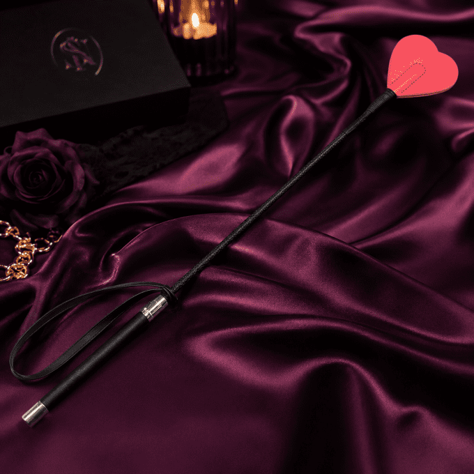 Cravache premium 66 cm avec embout cuir