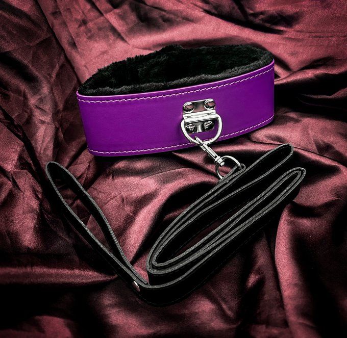 Collier rembourré violet avec laisse simili cuir basique - S&N - Copie