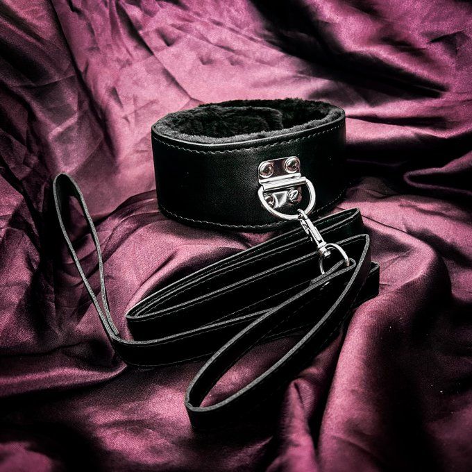 Collier rembourré noir avec laisse simili cuir basique - S&N